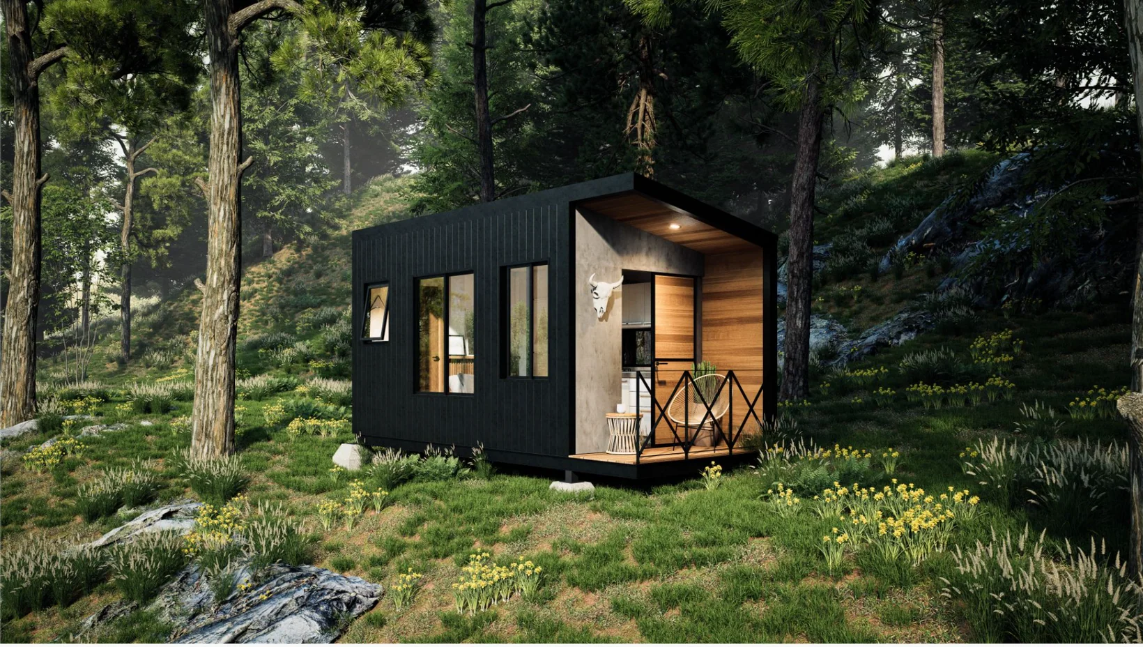 Exterior visualization of Model C01