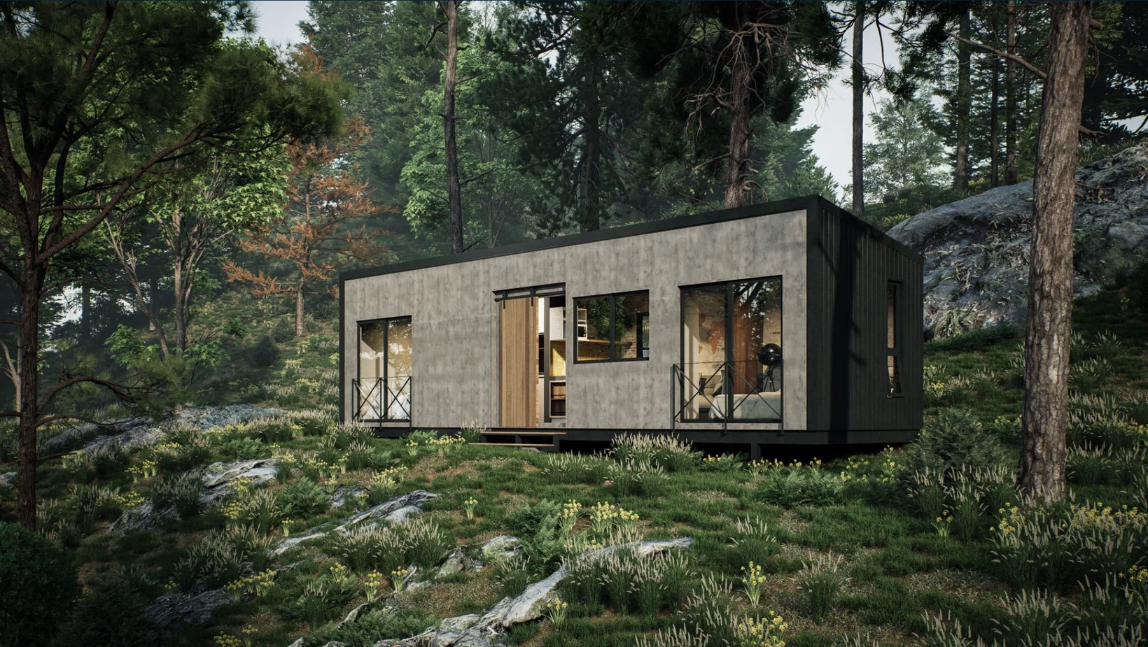 Exterior visualization of Model C06